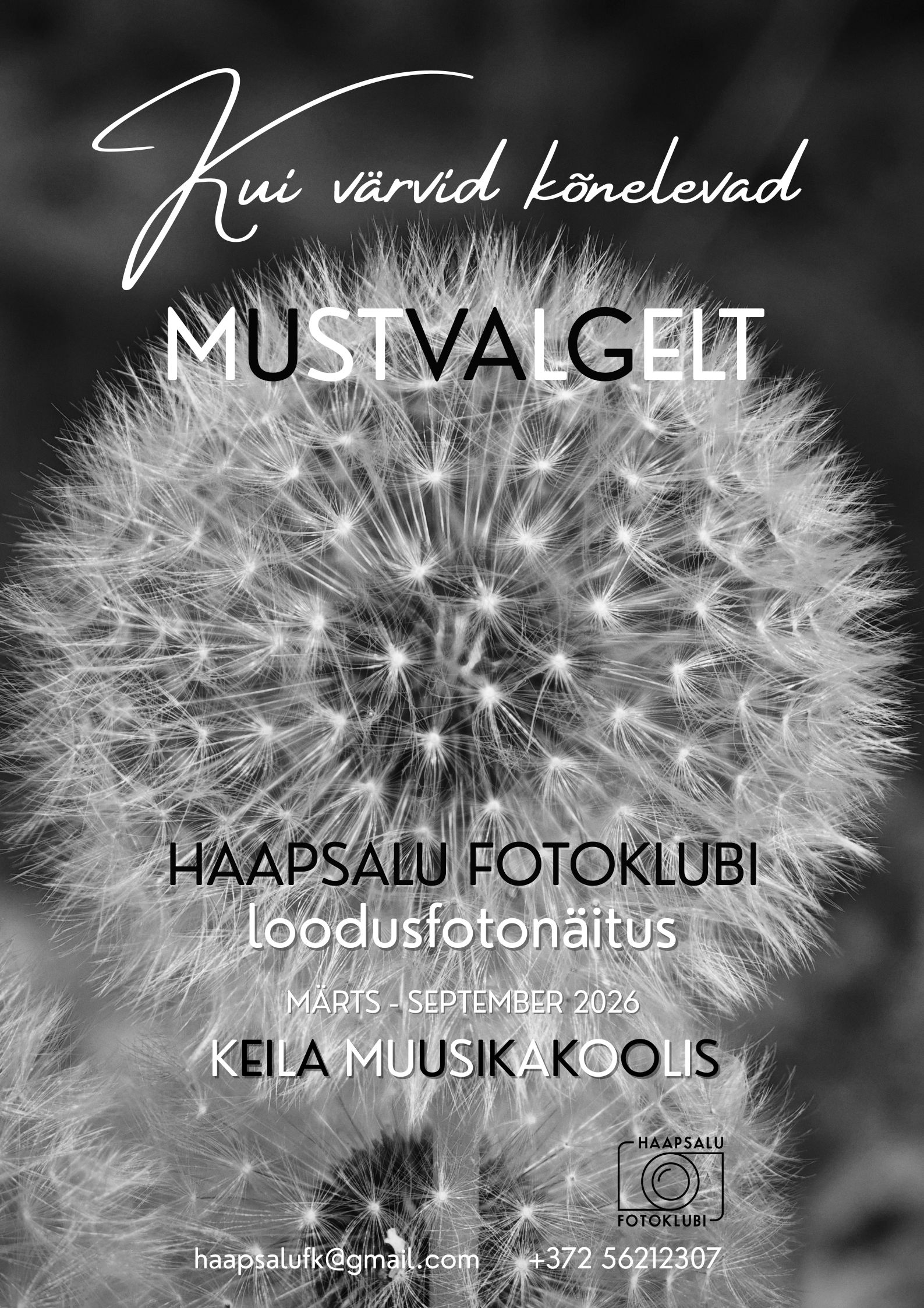 Kui värvid kõnelevad mustvalgelt (1)